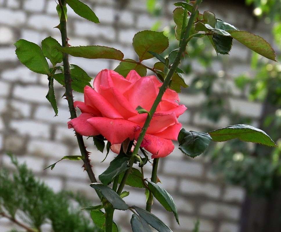 ... ����� Natali  ��������� �� PhotoGeek.ru #������ ��� ������� #����� ��������������