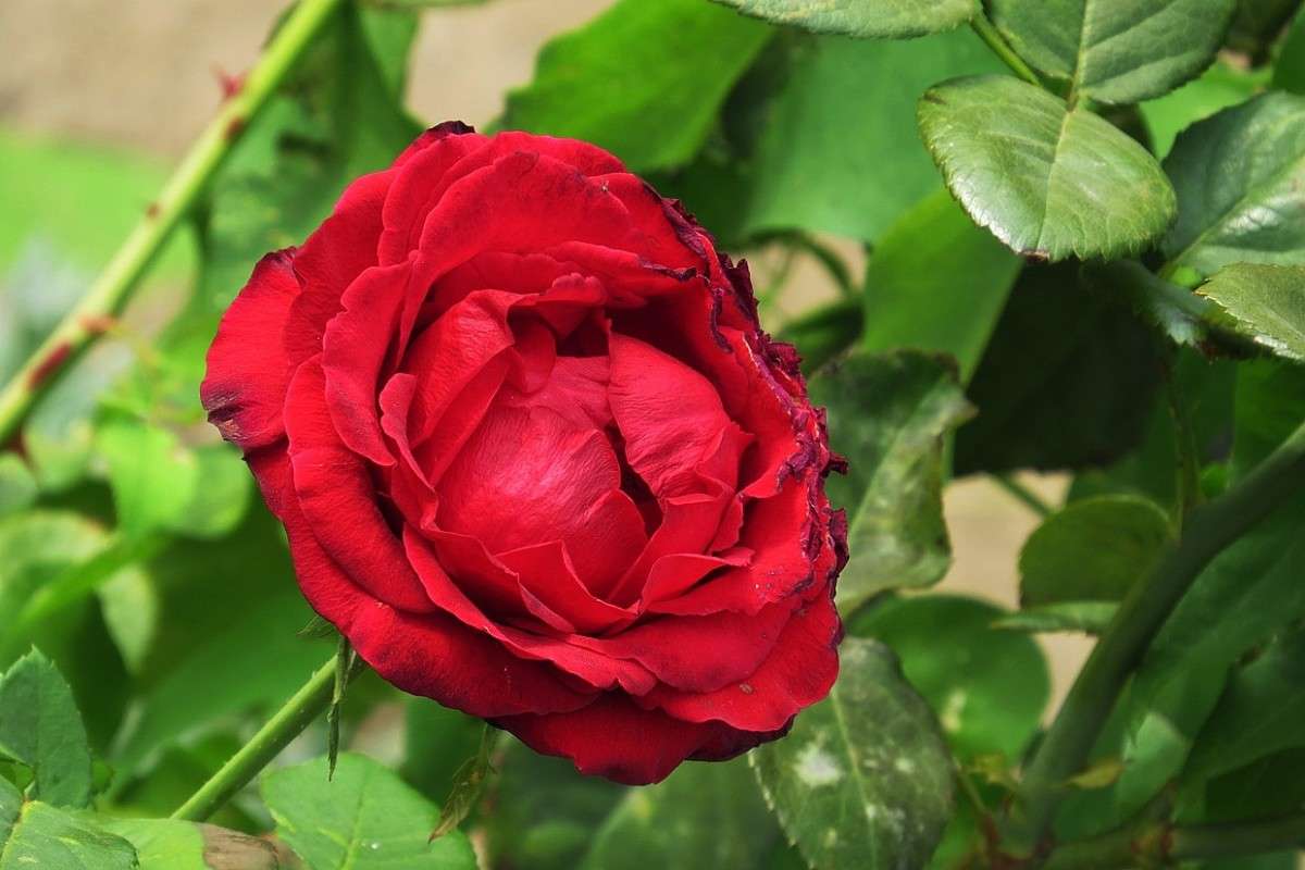 ... ����� Natali  ��������� �� PhotoGeek.ru #������ ��� ������� #����� ��������������