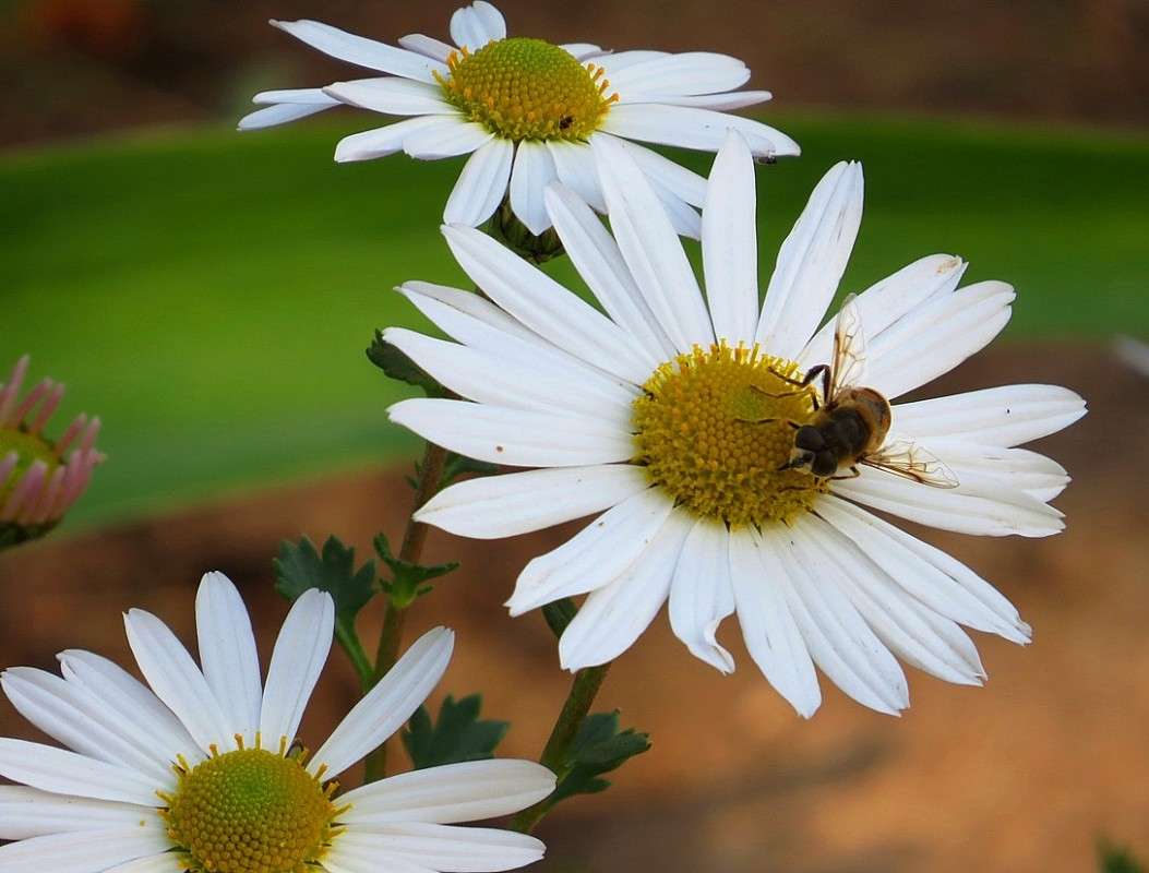 ... ����� Natali  ��������� �� PhotoGeek.ru #������ ��� ������� #����� ��������������