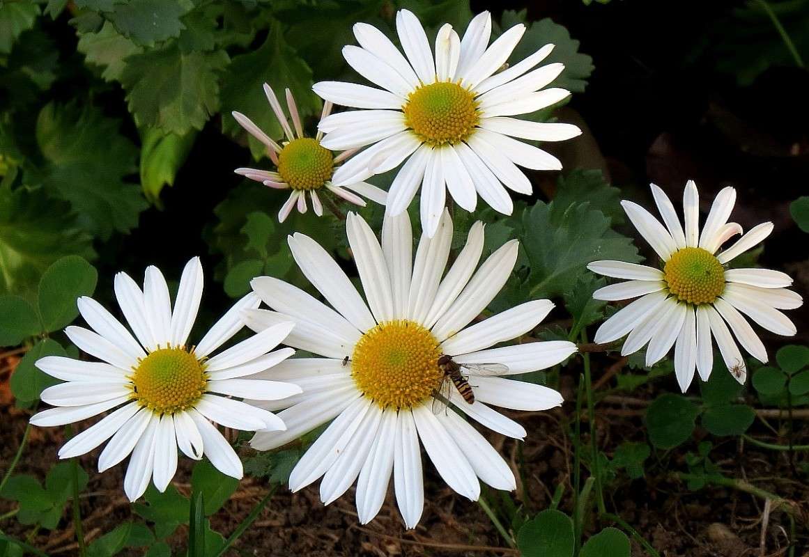 ... ����� Natali  ��������� �� PhotoGeek.ru #������ ��� ������� #����� ��������������