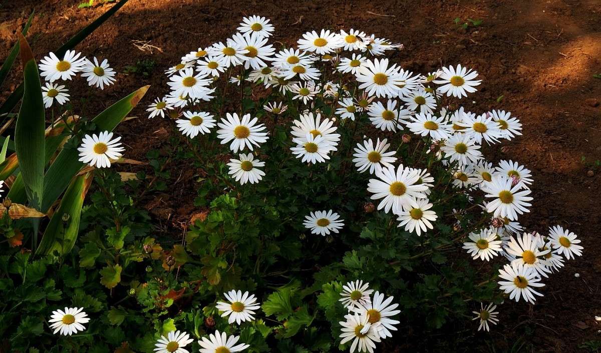 ... ����� Natali  ��������� �� PhotoGeek.ru #������ ��� ������� #����� ��������������