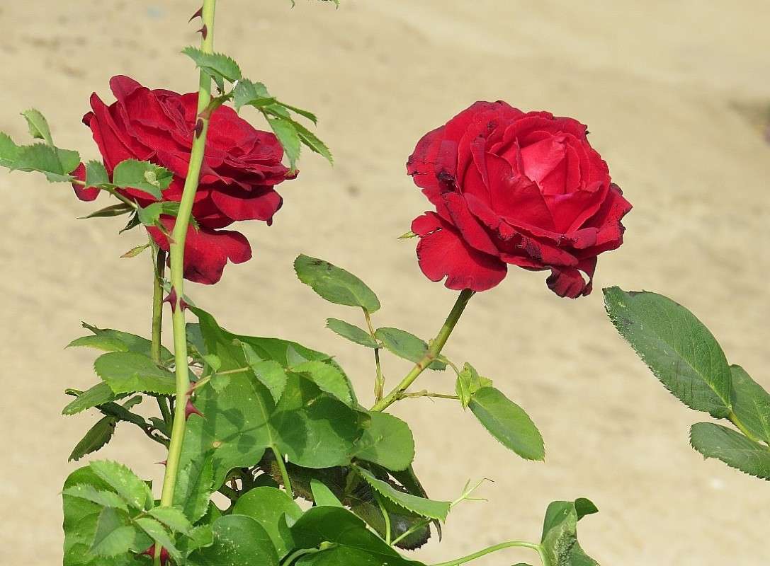 ... ����� Natali  ��������� �� PhotoGeek.ru #������ ��� ������� #����� ��������������