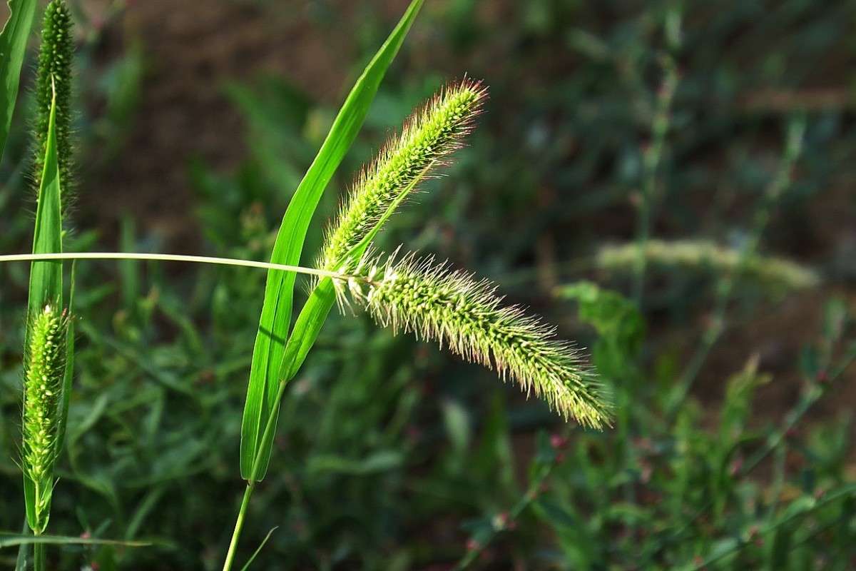 ... ����� Natali  ��������� �� PhotoGeek.ru #������ ��� ������� #����� ��������������