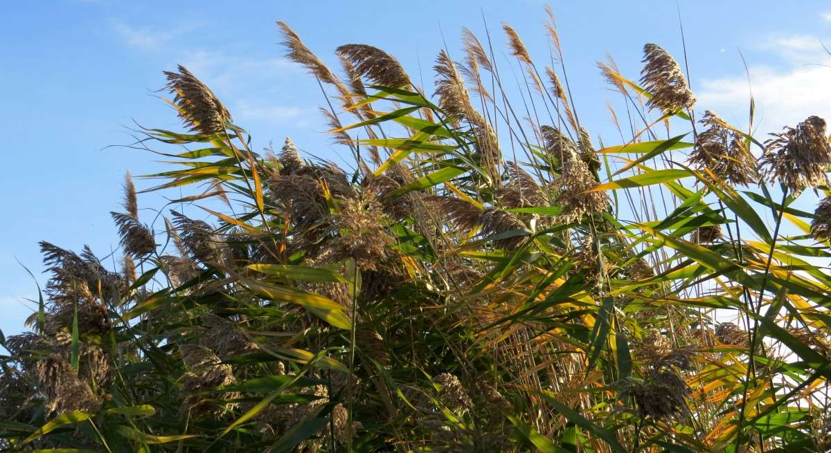 ... ����� Natali  ��������� �� PhotoGeek.ru #������ ��� ������� #����� ��������������