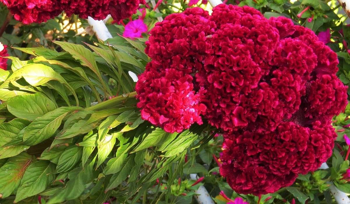 ... ����� Natali  ��������� �� PhotoGeek.ru #������ ��� ������� #����� ��������������