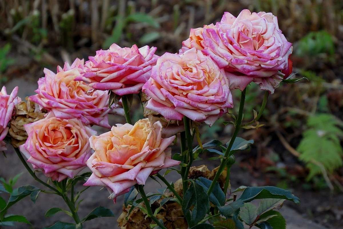 ... ����� Natali  ��������� �� PhotoGeek.ru #������ ��� ������� #����� ��������������