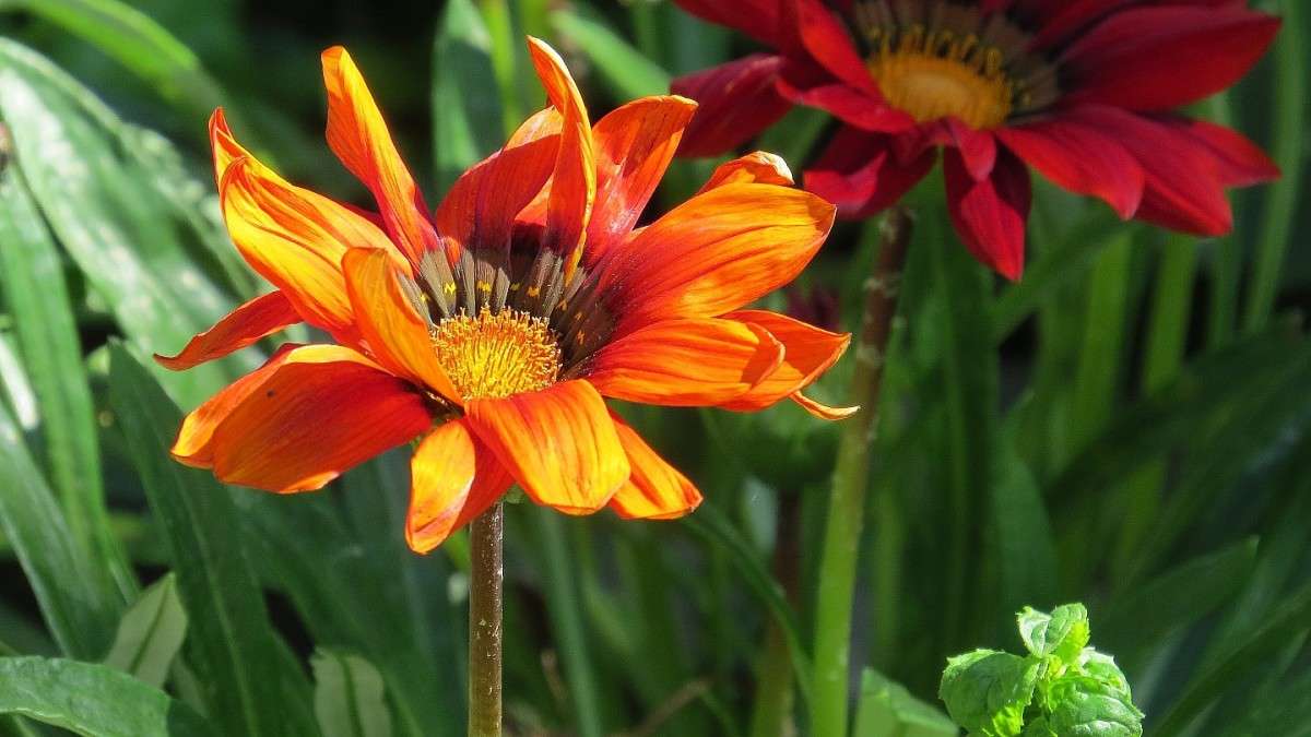 ... ����� Natali  ��������� �� PhotoGeek.ru #������ ��� ������� #����� ��������������