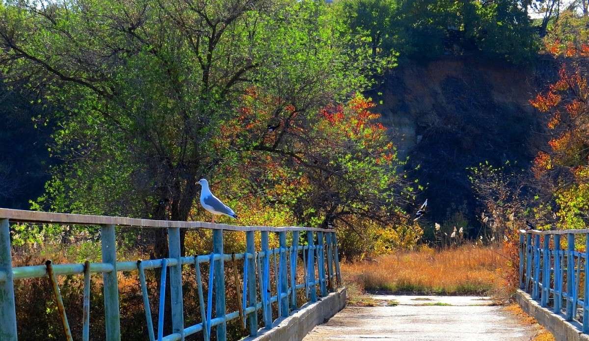 �������. ����� ������� �� ������� ))) ����� Natali  ��������� �� PhotoGeek.ru #�������� ��� #������ ��� �������