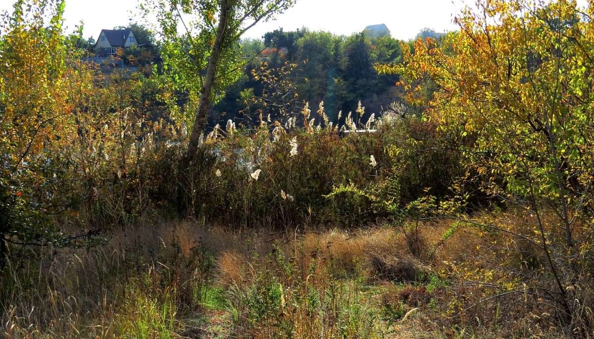 ������� 2. ����� Natali  ��������� �� PhotoGeek.ru #������ ��� �������