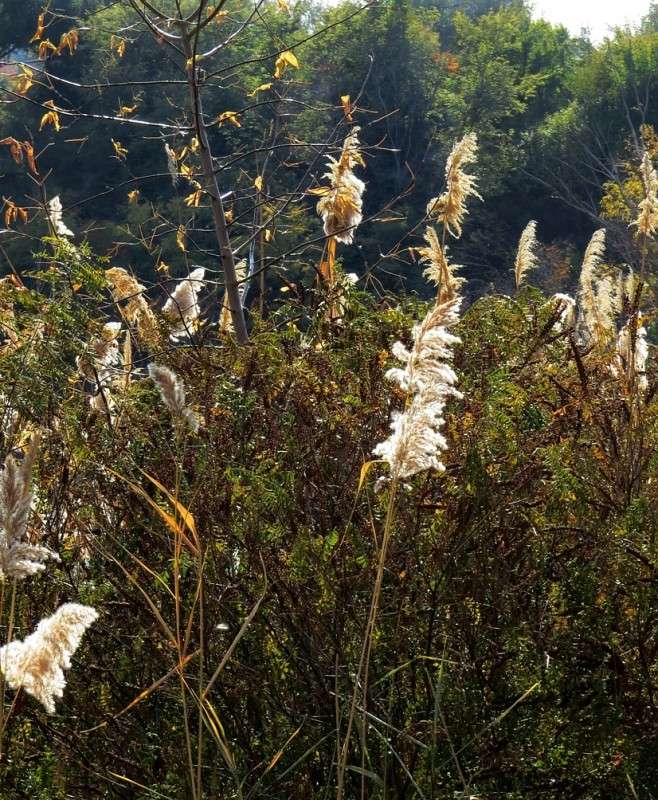 �������. � �������. ����� Natali  ��������� �� PhotoGeek.ru #������ ��� �������