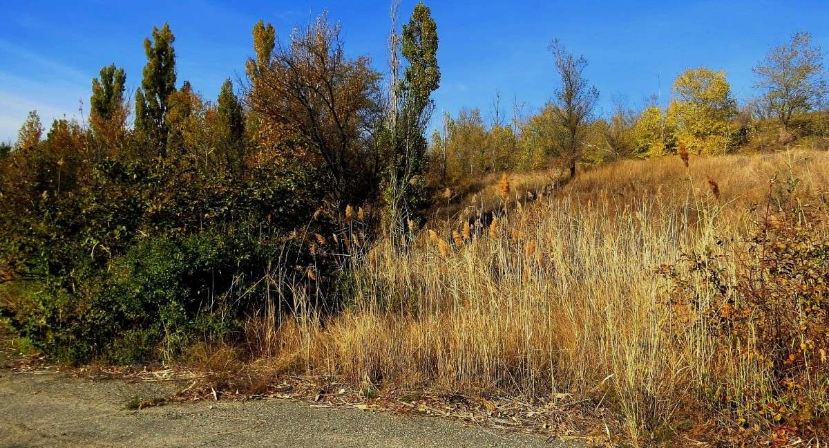 �������. ��������� ����. ����� Natali  ��������� �� PhotoGeek.ru #������ ��� �������