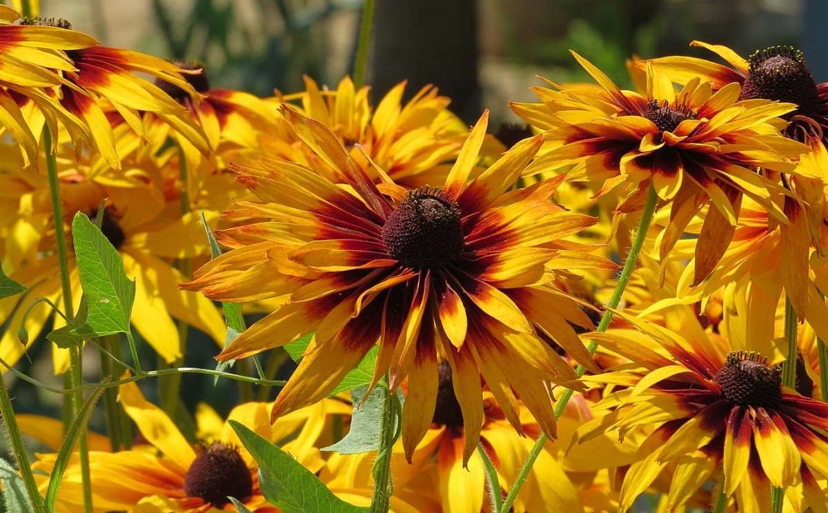 ��������� ����� ����� Natali  ��������� �� PhotoGeek.ru #������ ��� ������� #����� ��������������