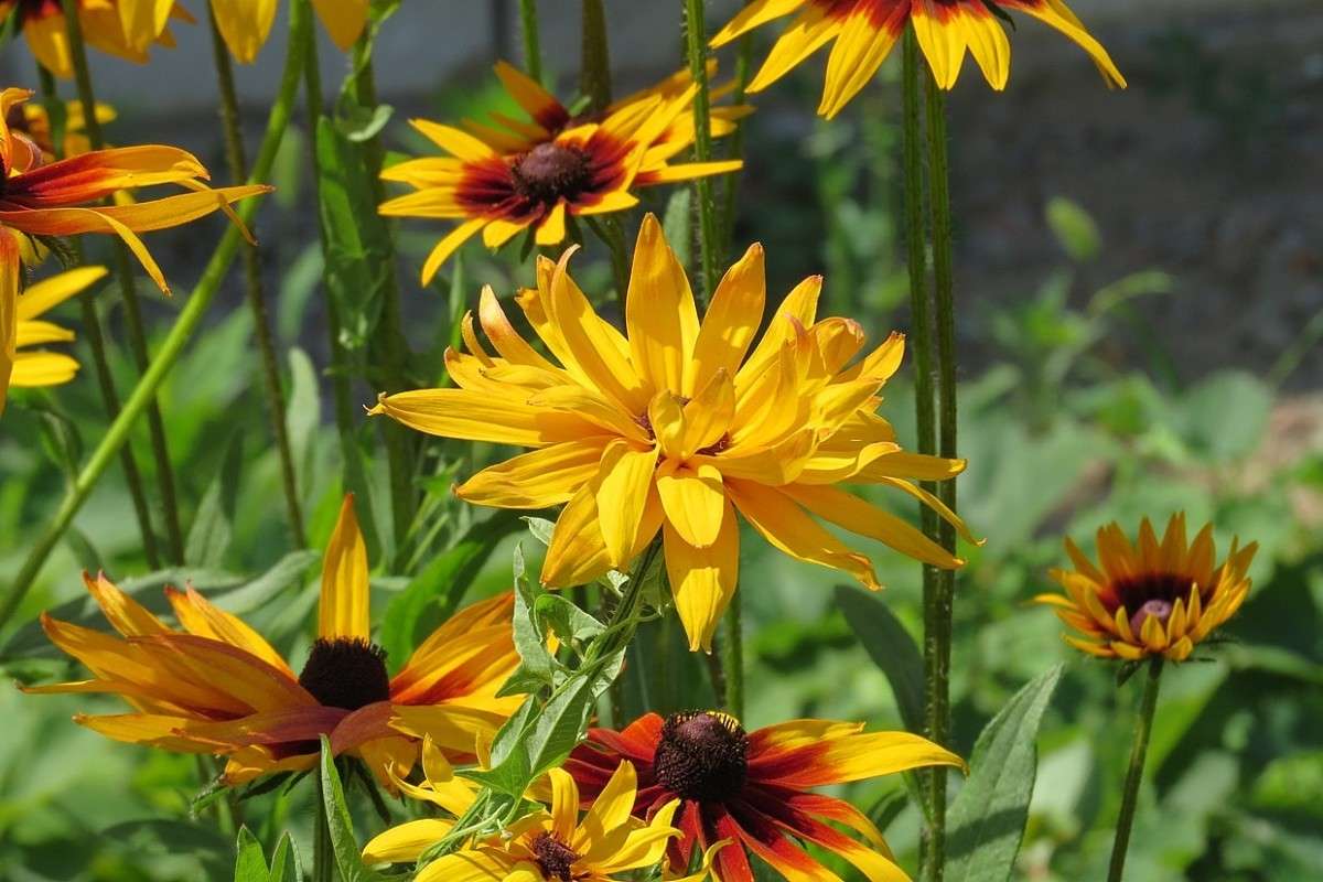 ��������� ����� 4 ����� Natali  ��������� �� PhotoGeek.ru #������ ��� ������� #����� ��������������