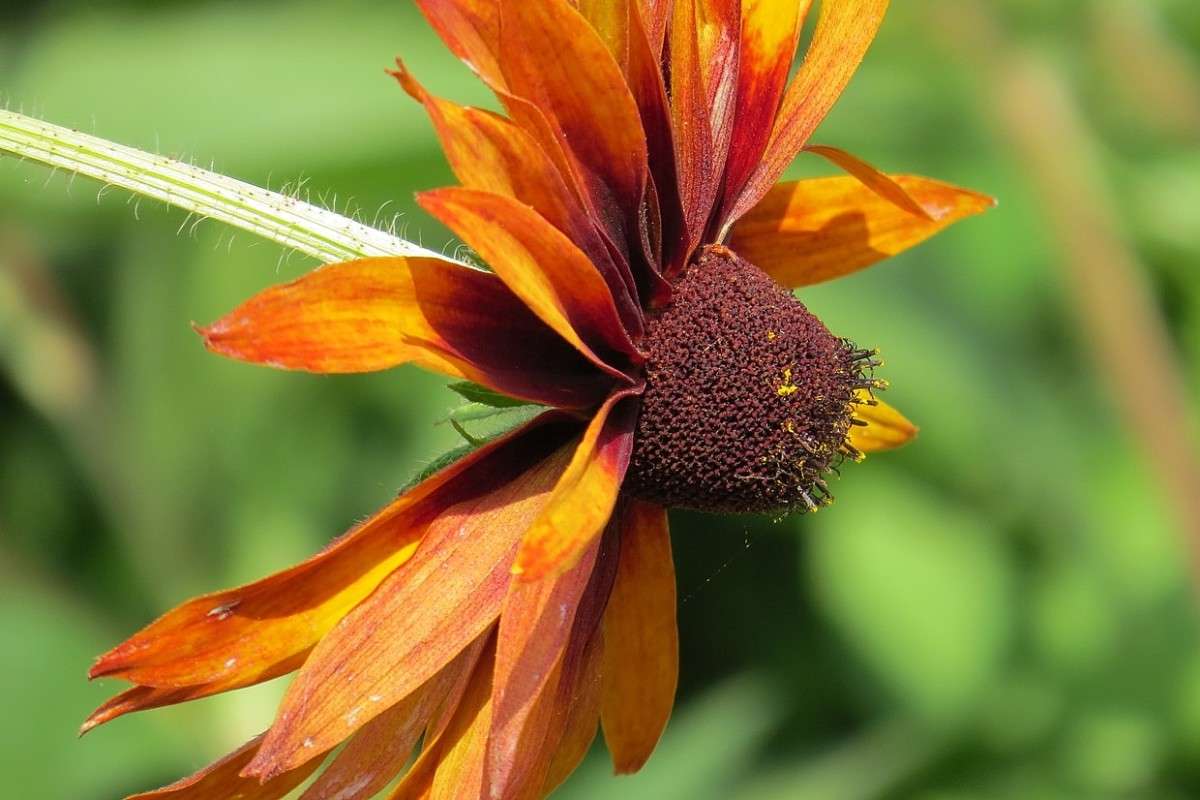 ��������� ����� 2 ����� Natali  ��������� �� PhotoGeek.ru #������ ��� ������� #����� ��������������