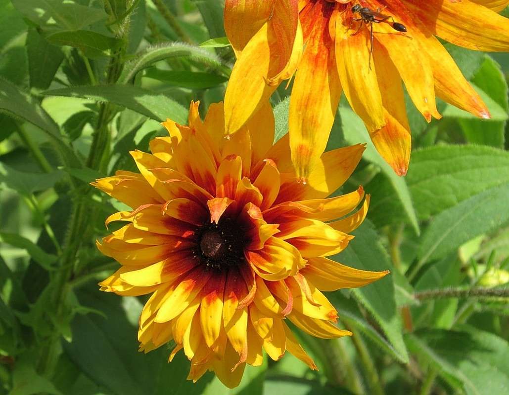 ��������� ����� 3 ����� Natali  ��������� �� PhotoGeek.ru #������ ��� ������� #����� ��������������