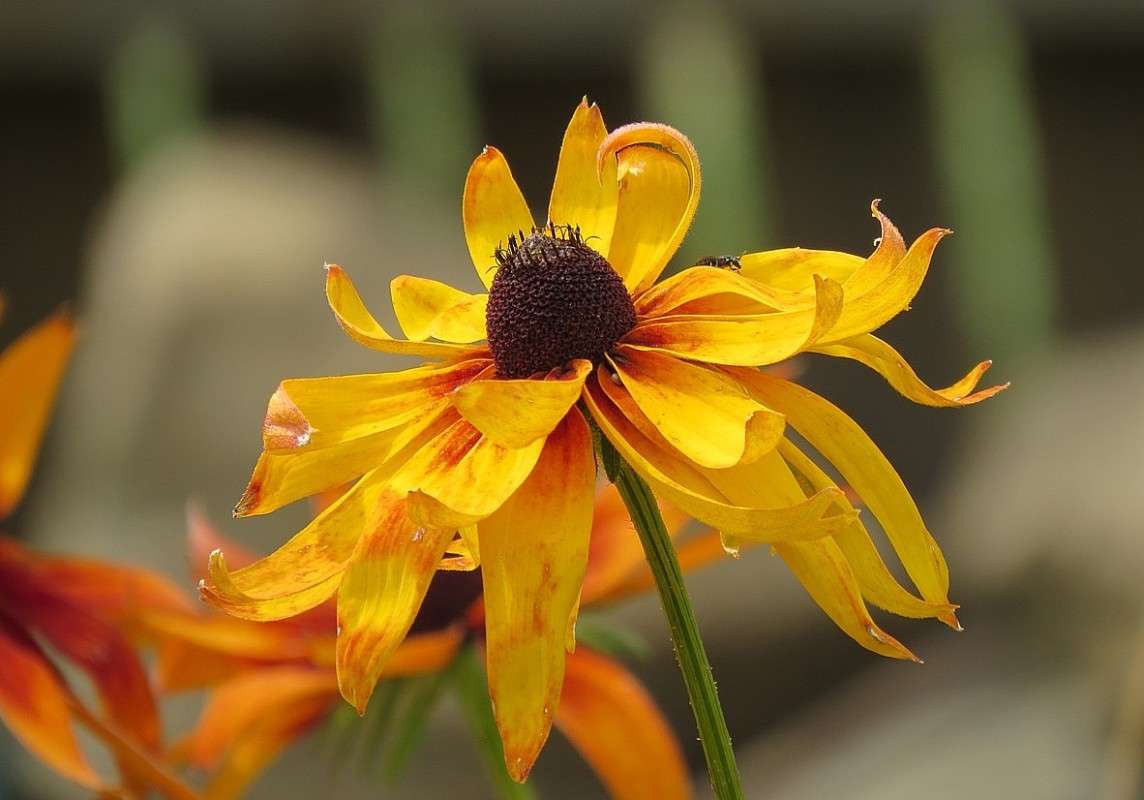 ��������� ����� 5 ����� Natali  ��������� �� PhotoGeek.ru #������ ��� ������� #����� ��������������