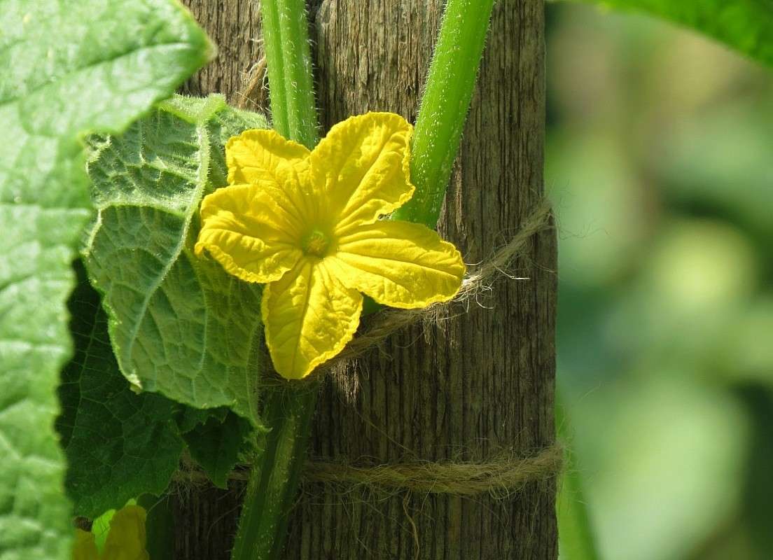 ... ����� Natali  ��������� �� PhotoGeek.ru #������ ��� ������� #����� ��������������