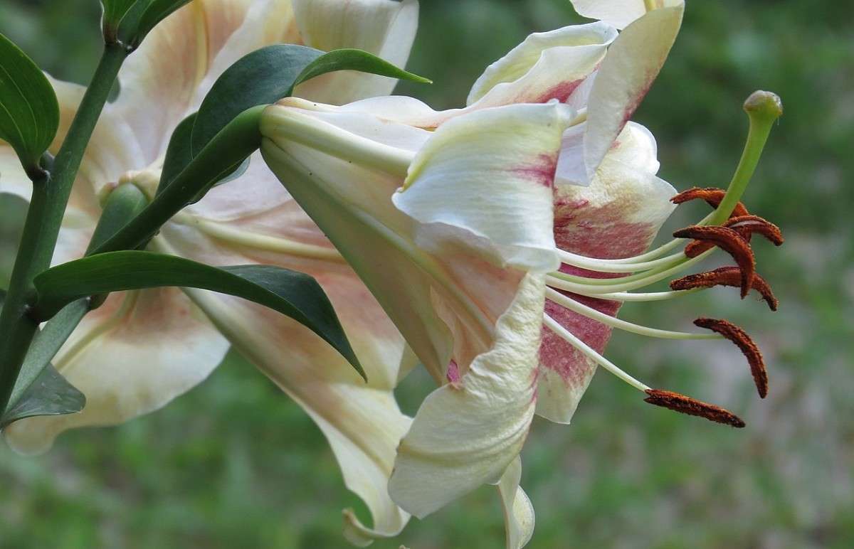 ... ����� Natali  ��������� �� PhotoGeek.ru #������ ��� ������� #����� ��������������