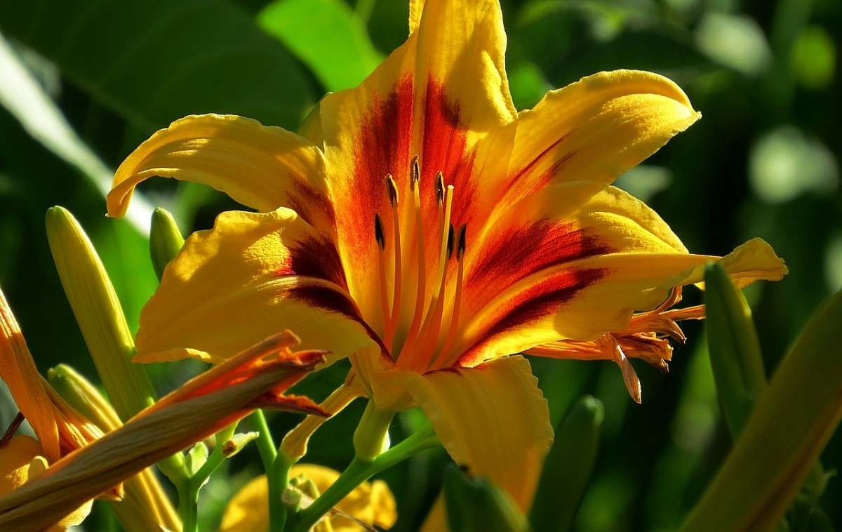 ... ����� Natali  ��������� �� PhotoGeek.ru #������ ��� ������� #����� ��������������