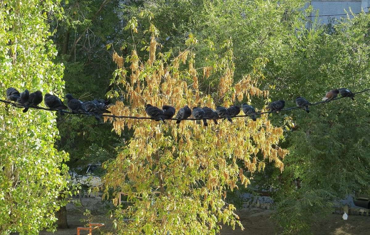 �� ����. ������� ���������. ) ����� Natali  ��������� �� PhotoGeek.ru #�������� ��� #����� ��� ��� ���������