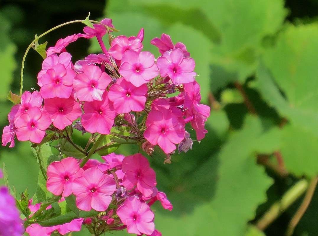 ... ����� Natali  ��������� �� PhotoGeek.ru #������ ��� ������� #����� ��������������