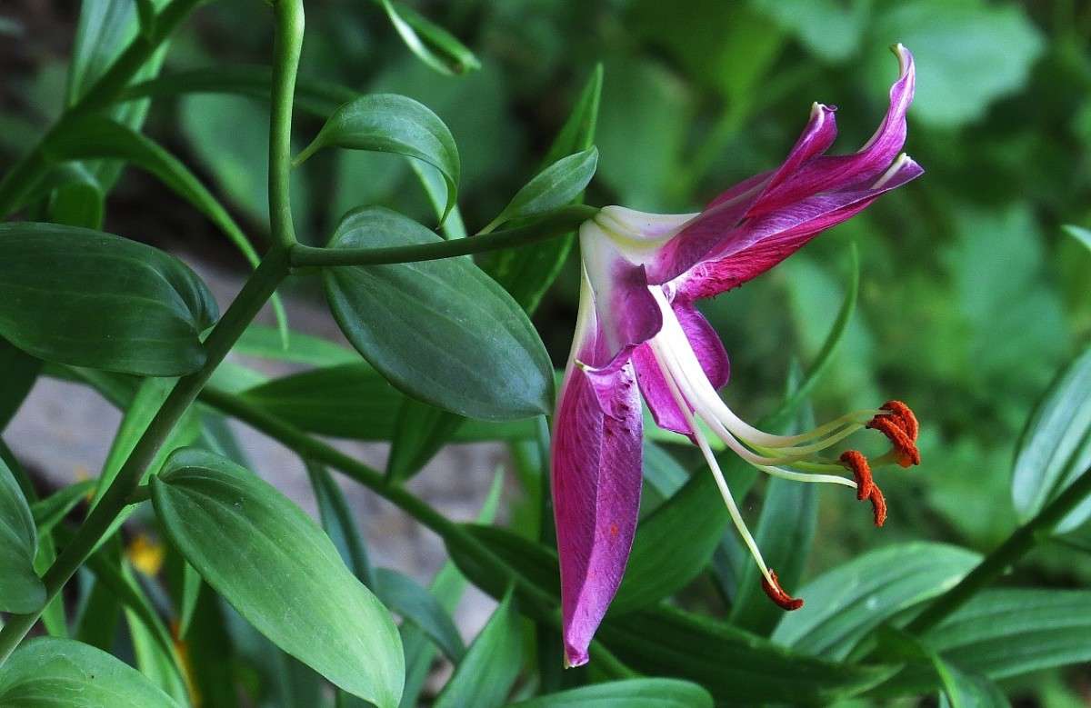 ... ����� Natali  ��������� �� PhotoGeek.ru #������ ��� ������� #����� ��������������