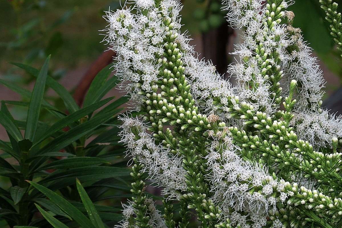 ... ����� Natali  ��������� �� PhotoGeek.ru #������ ��� ������� #����� ��������������