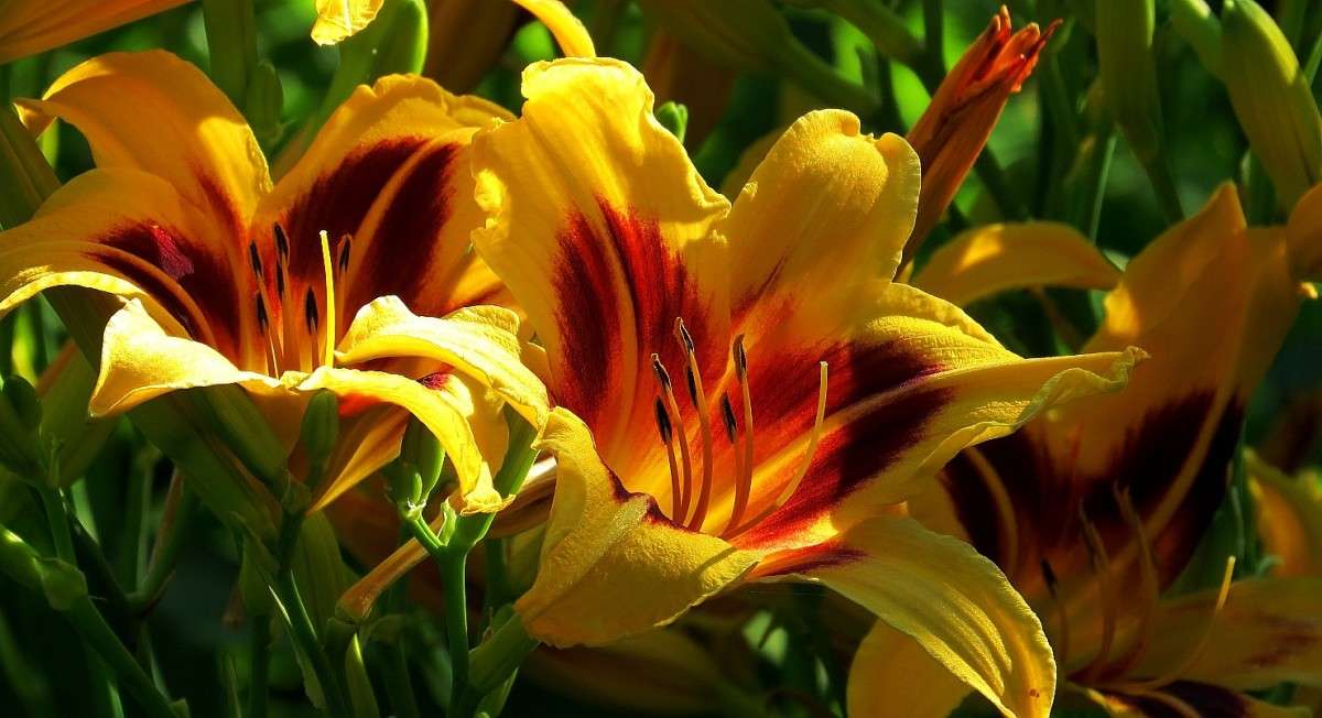 ... ����� Natali  ��������� �� PhotoGeek.ru #������ ��� ������� #����� ��������������