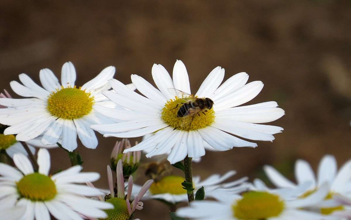 ... ����� Natali  ��������� �� PhotoGeek.ru #������ ��� ������� #����� ��������������