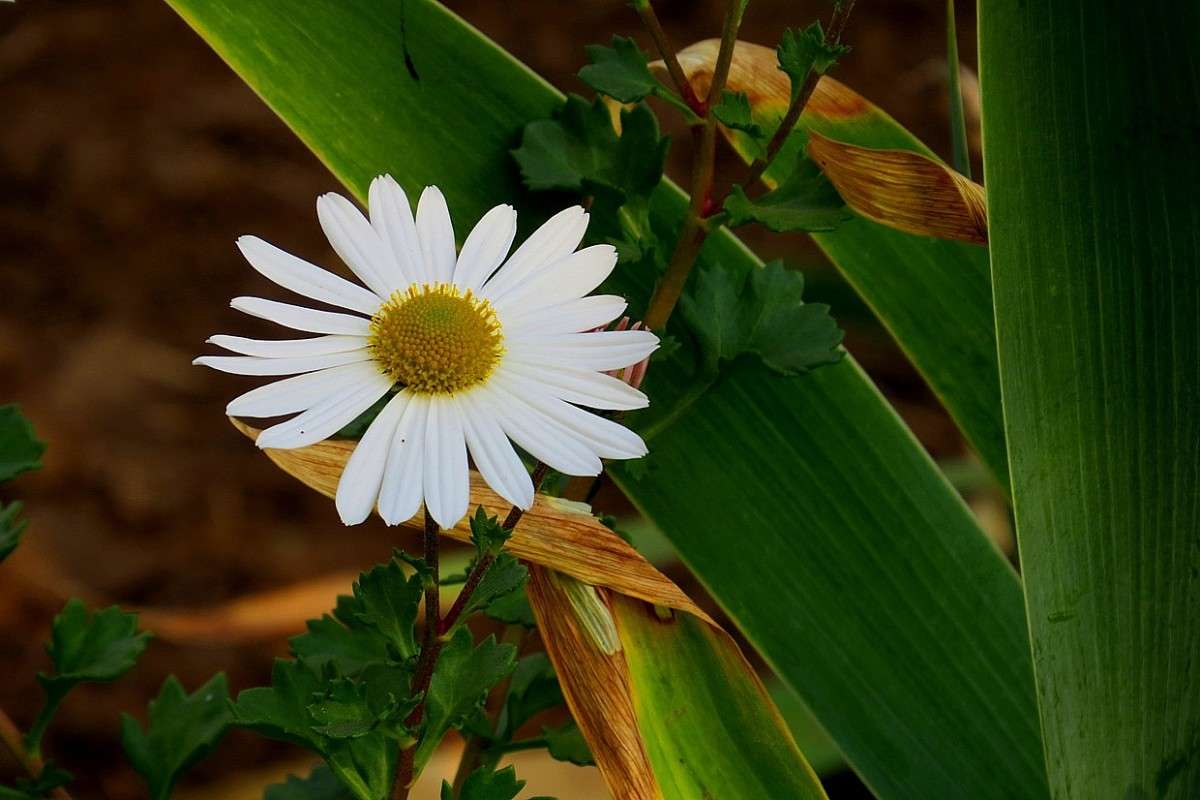 ... ����� Natali  ��������� �� PhotoGeek.ru #������ ��� ������� #����� ��������������