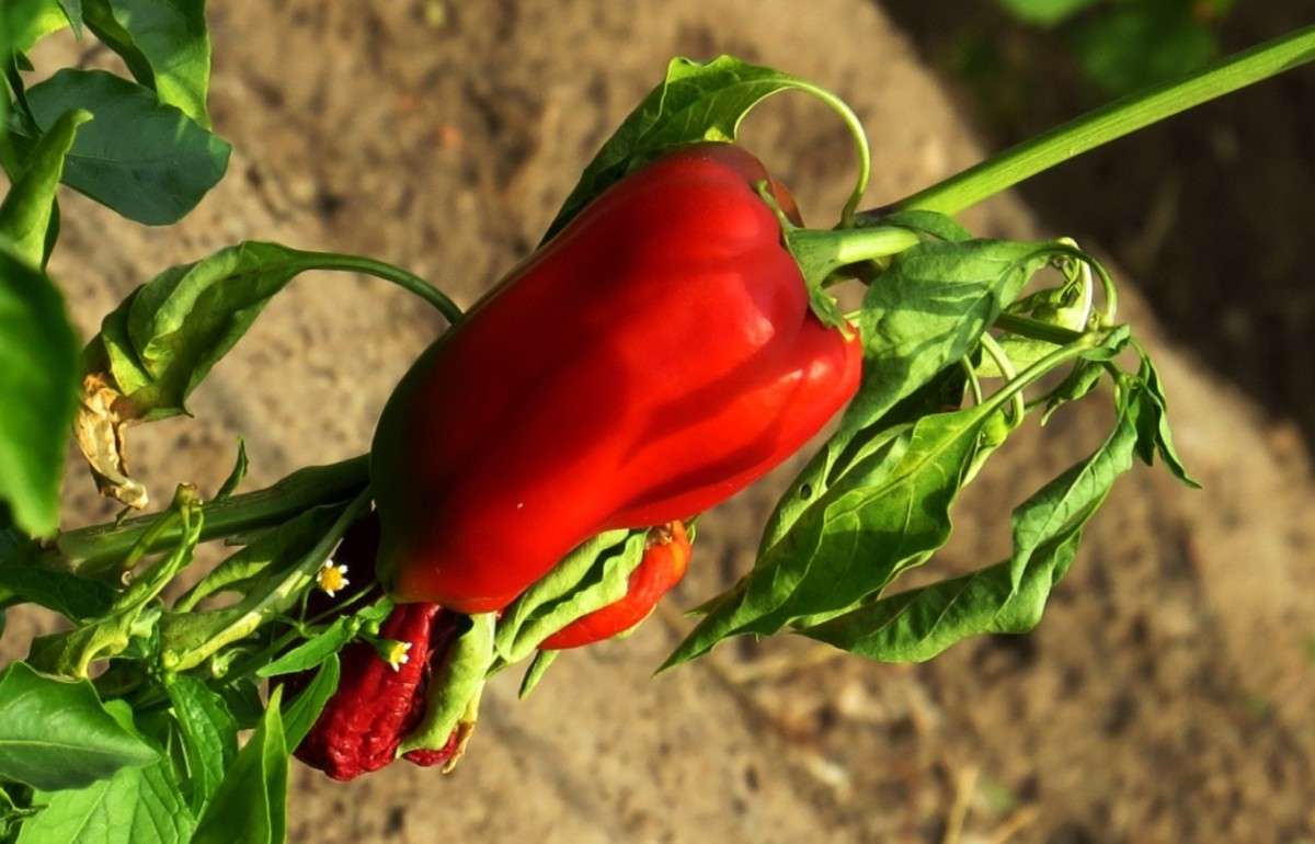 ... ����� Natali  ��������� �� PhotoGeek.ru #������ ��� ������� #����� ��������������