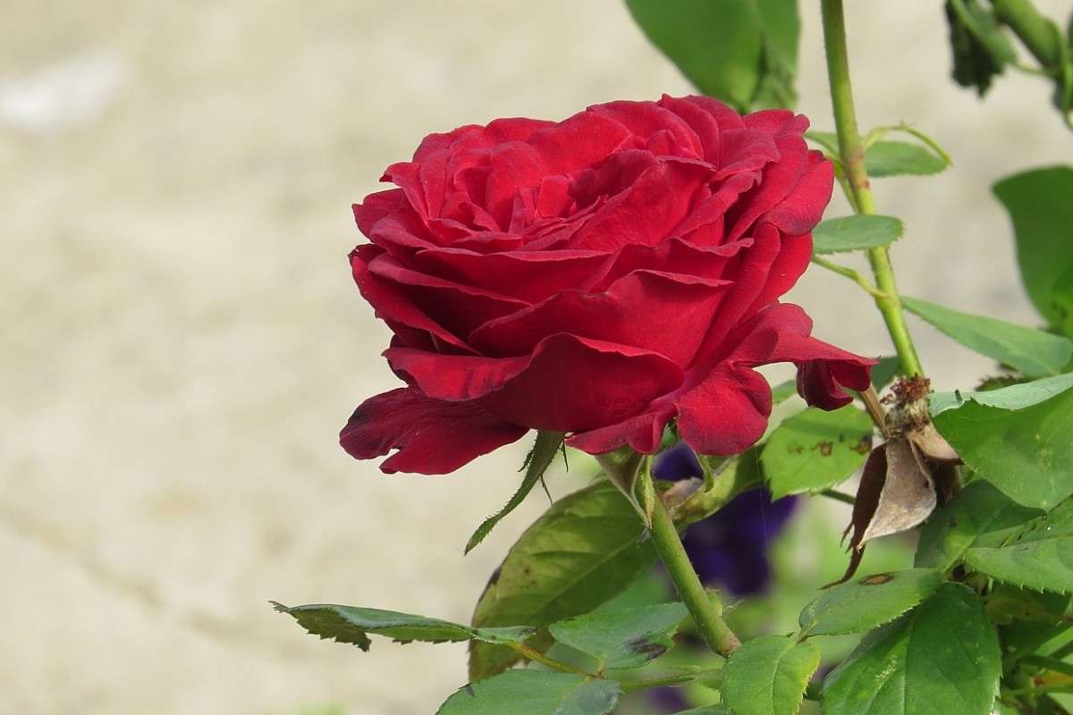 ... ����� Natali  ��������� �� PhotoGeek.ru #������ ��� ������� #����� ��������������