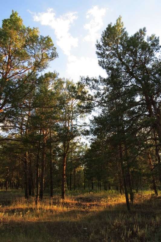 ... ����� Natali  ��������� �� PhotoGeek.ru #������ ��� ������� #����� ��������������