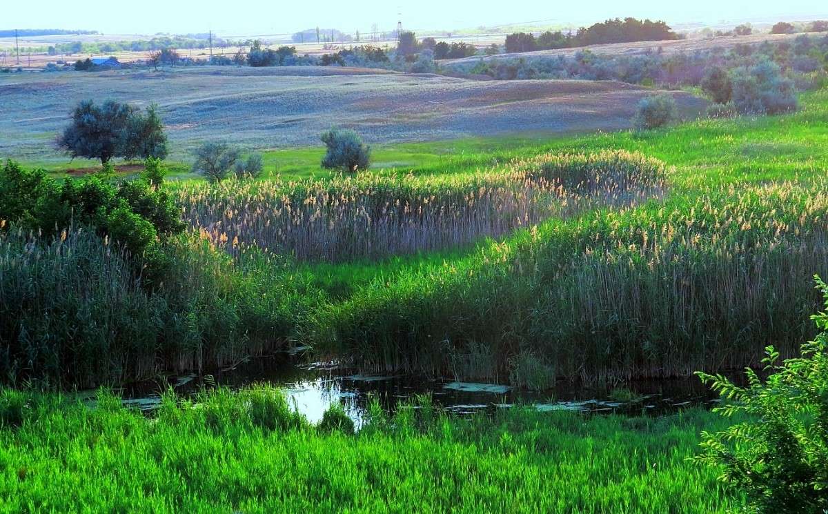 ���� � ������ 2 ����� Natali  ��������� �� PhotoGeek.ru #������ ��� �������