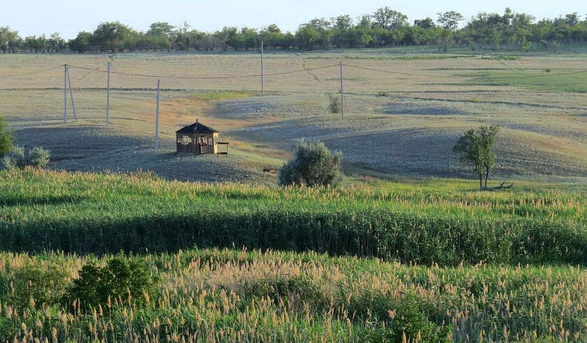 �� ���� ������� ������ .... ) ����� Natali  ��������� �� PhotoGeek.ru #������ ��� ������� #����� ��������������