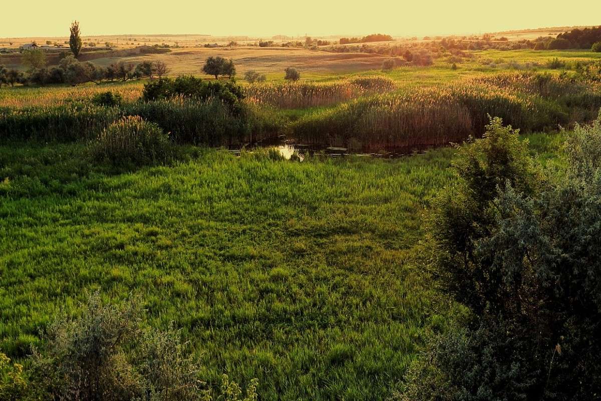 ���� � ������ ) ����� Natali  ��������� �� PhotoGeek.ru #������ ��� �������