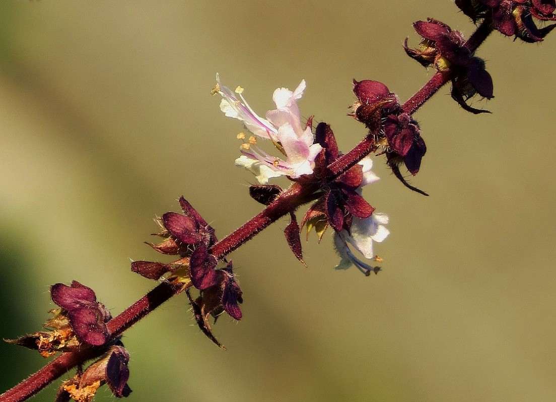 ... ����� Natali  ��������� �� PhotoGeek.ru #������ ��� ������� #����� ��������������