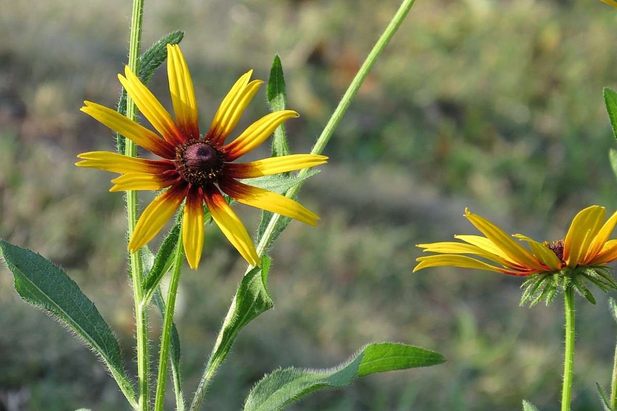 ... ����� Natali  ��������� �� PhotoGeek.ru #������ ��� ������� #����� ��������������