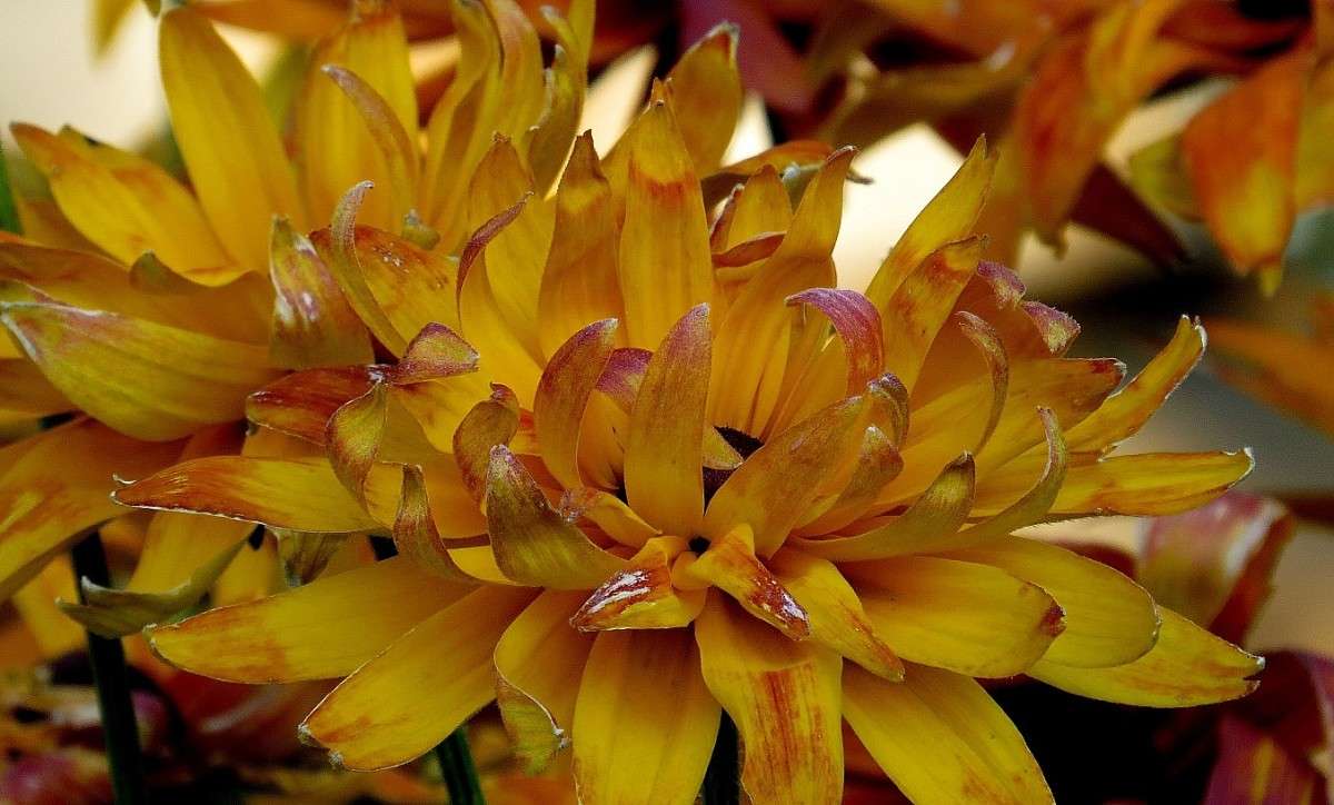 ... ����� Natali  ��������� �� PhotoGeek.ru #������ ��� ������� #����� ��������������