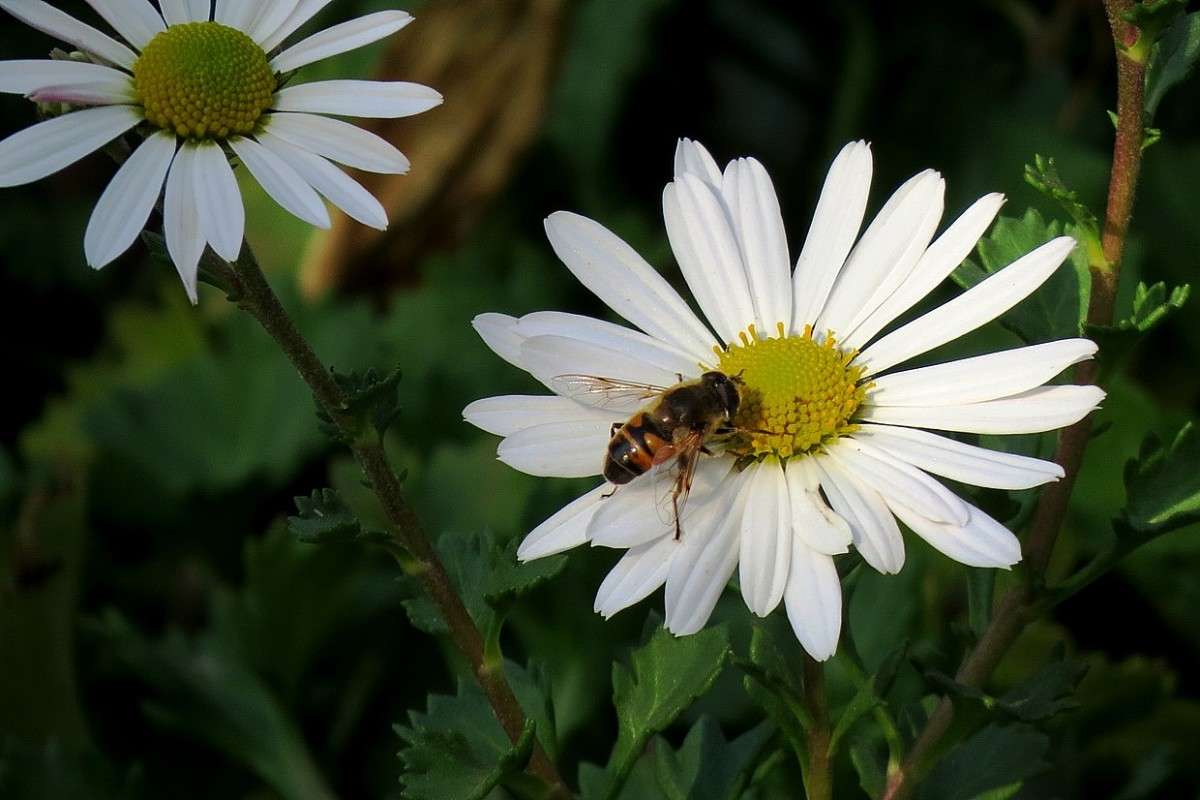 ������� � �����....4 ����� Natali  ��������� �� PhotoGeek.ru #������ ��� ������� #����� ��������������