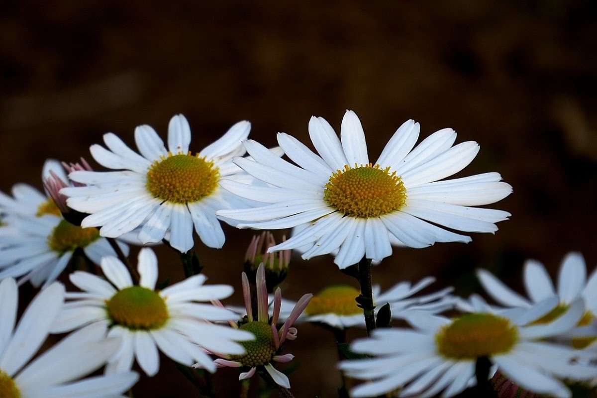 ������� � �����....2 ����� Natali  ��������� �� PhotoGeek.ru #������ ��� ������� #����� ��������������