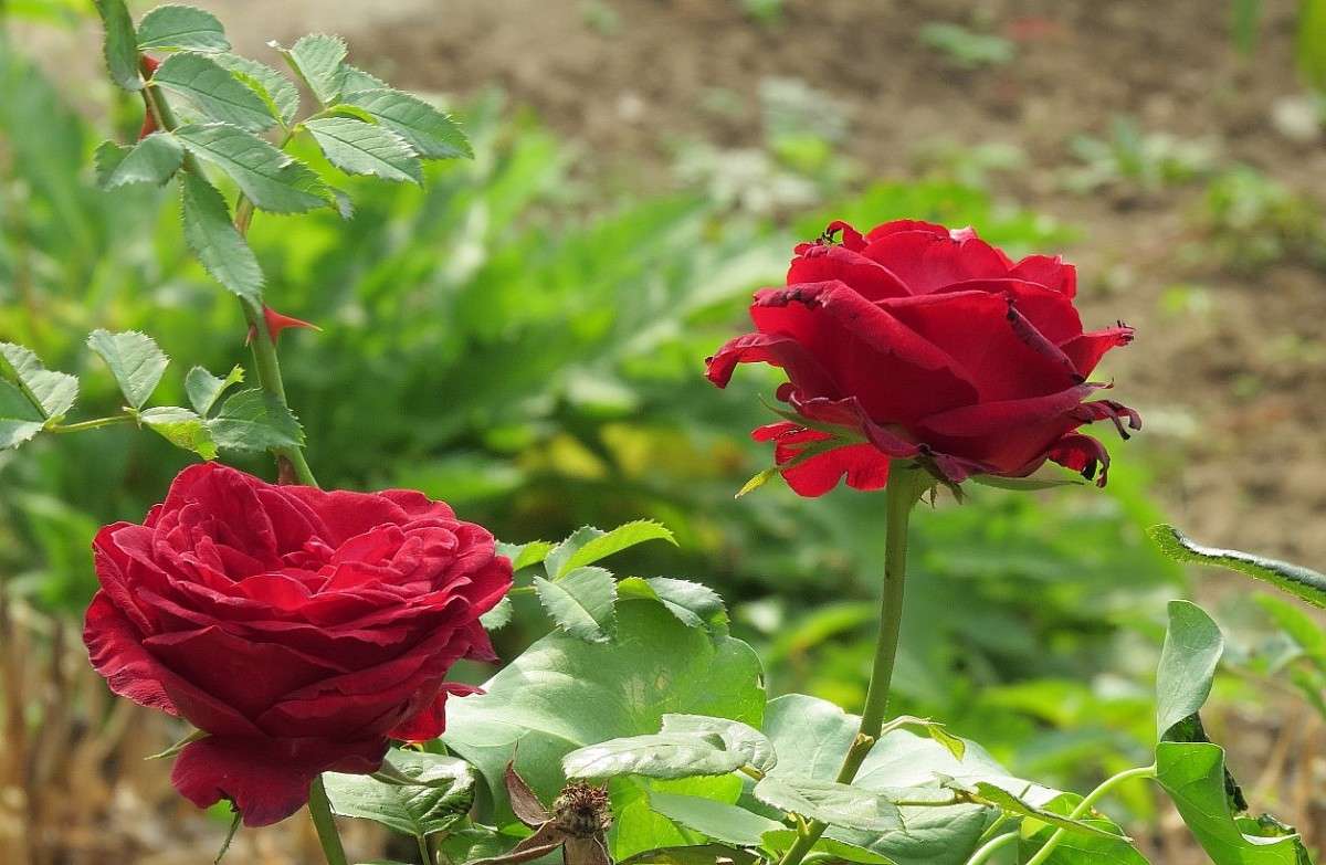 ... ����� Natali  ��������� �� PhotoGeek.ru #������ ��� ������� #����� ��������������