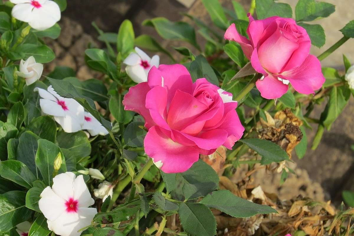 ... ����� Natali  ��������� �� PhotoGeek.ru #������ ��� ������� #����� ��������������