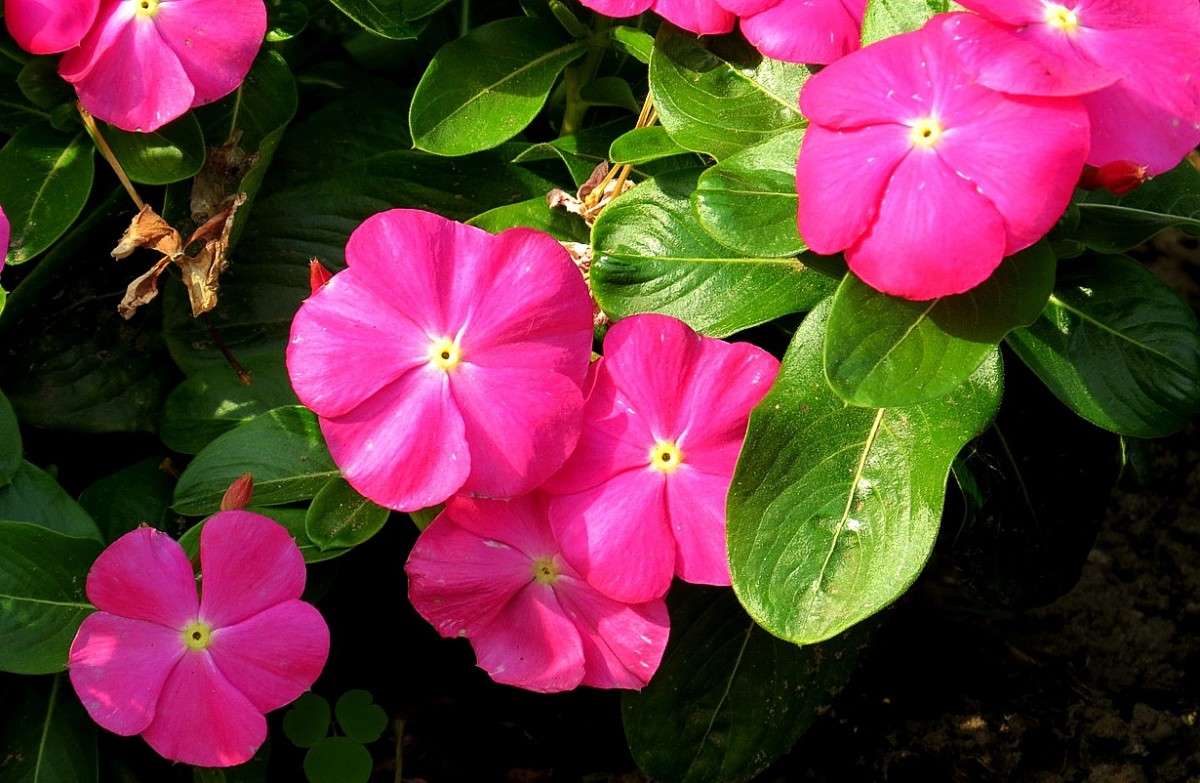 ... ����� Natali  ��������� �� PhotoGeek.ru #������ ��� ������� #����� ��������������