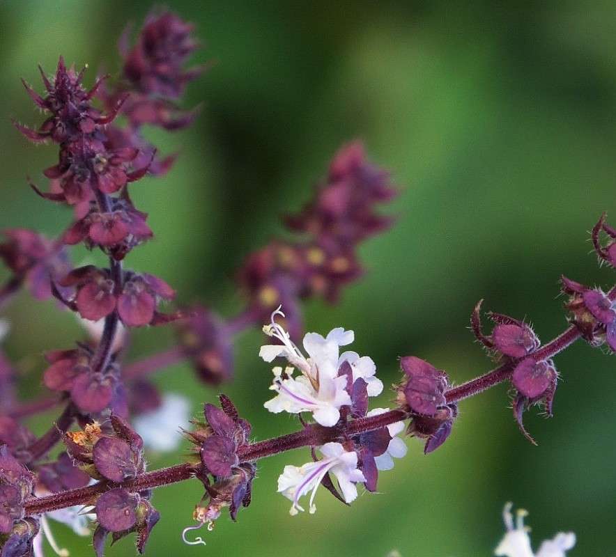 ... ����� Natali  ��������� �� PhotoGeek.ru #������ ��� ������� #����� ��������������