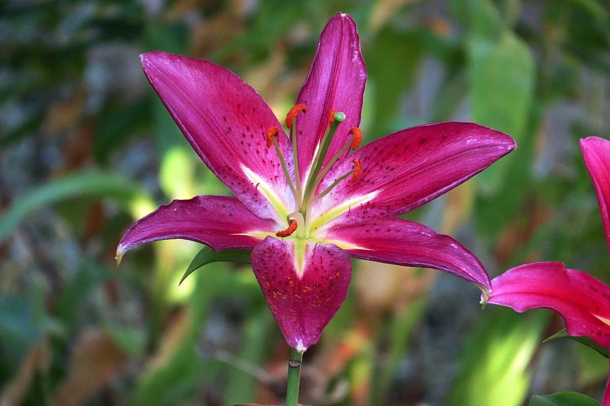 ... ����� Natali  ��������� �� PhotoGeek.ru #������ ��� ������� #����� ��������������