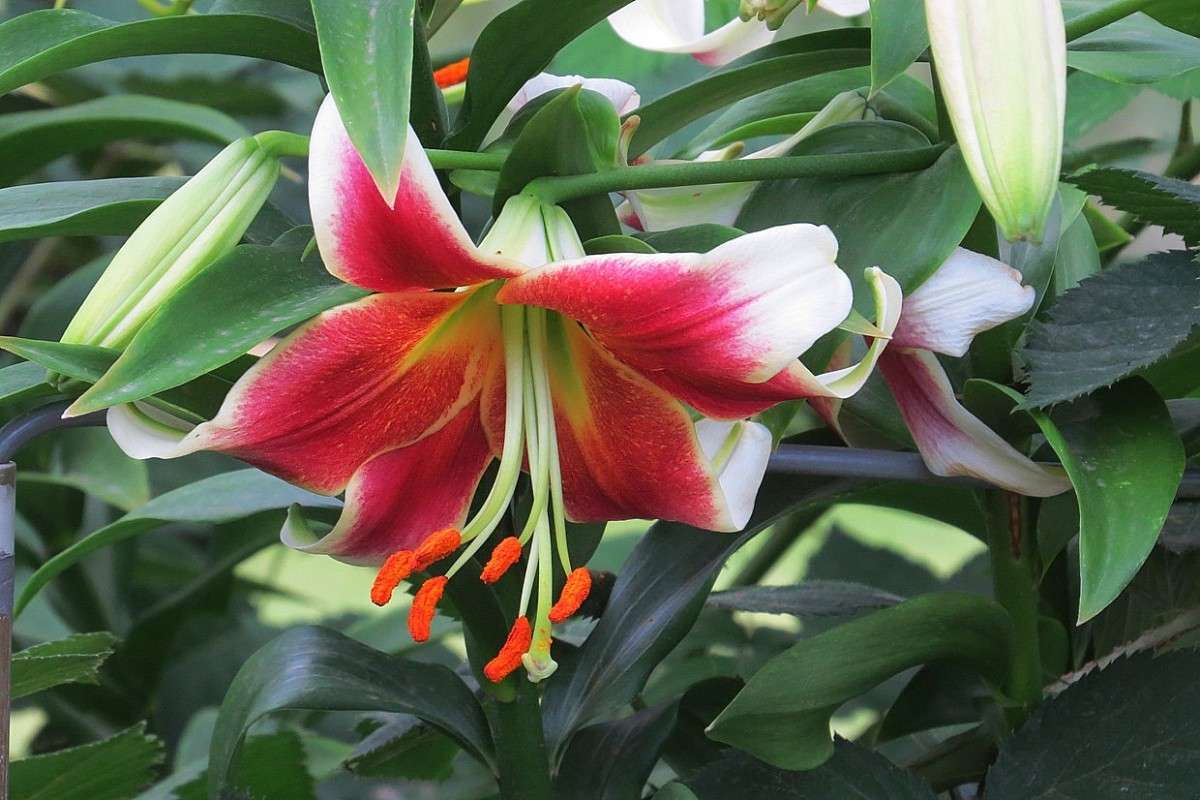 ... ����� Natali  ��������� �� PhotoGeek.ru #������ ��� ������� #����� ��������������