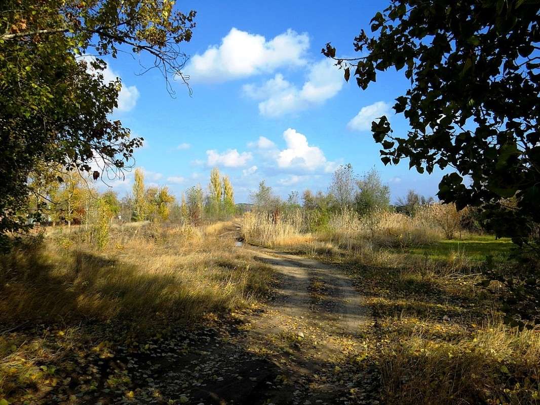 ... ����� Natali  ��������� �� PhotoGeek.ru #������ ��� ������� #����� ��������������