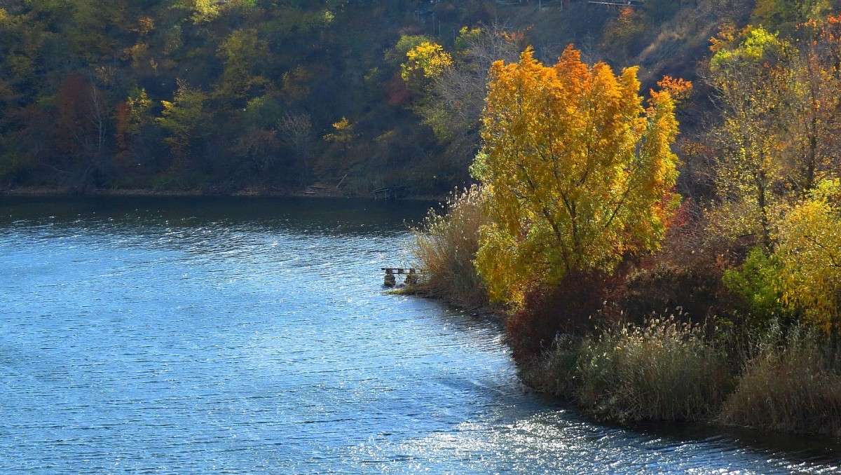 ... ����� Natali  ��������� �� PhotoGeek.ru #������ ��� ������� #����� ��������������