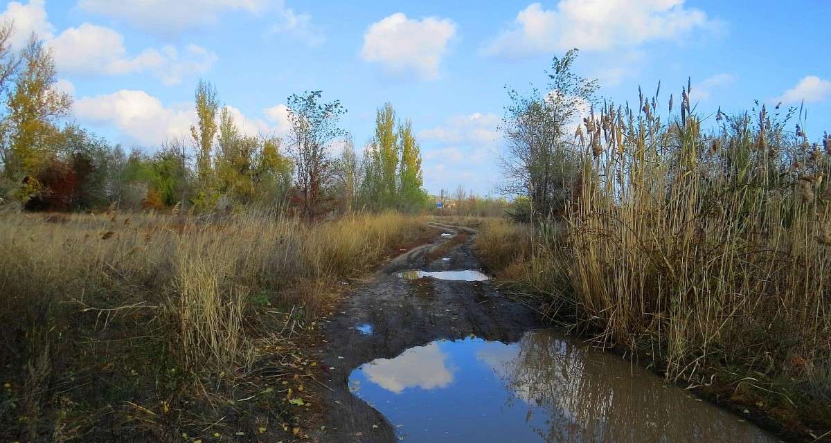 ���� � ����� ....) ����� Natali  ��������� �� PhotoGeek.ru #������ ��� ������� #����� ��������������